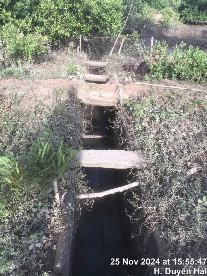 Bán 28.000m² đất nuôi trồng thủy sản Duyên Hải - Giá đầu tư tốt