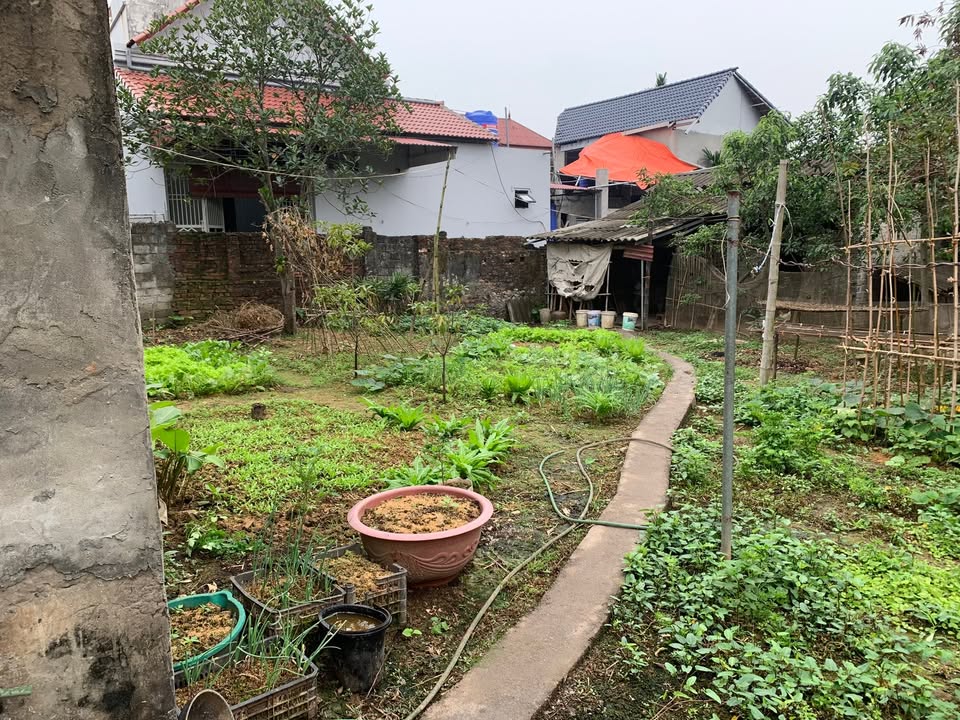 Đất nền Mỹ Đức 300m² - Sổ đỏ chính chủ, pháp lý minh bạch!