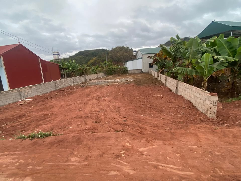 Đất nền Mộc Châu 250m² giá 2 tỷ - Sổ đỏ chính chủ sẵn sàng!