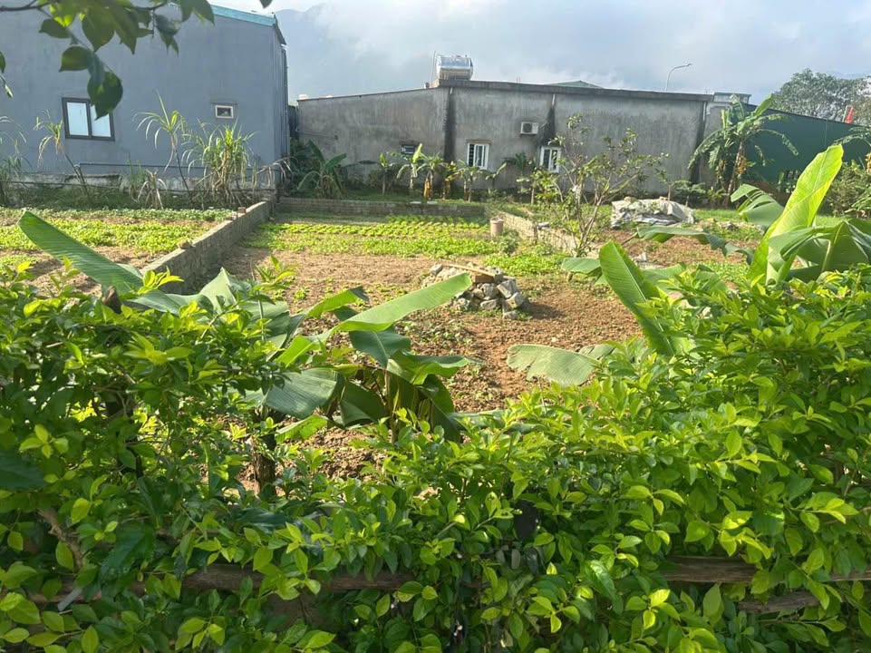 Đất nền Kỳ Liên Kỳ Anh 99m² giá rẻ - Sổ đỏ chính chủ