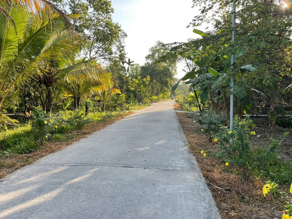 Đất nền Phong Điền 739m² - Sổ hồng chính chủ, mặt tiền lộ lớn!