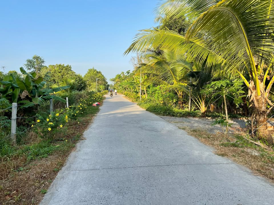 Bán Đất Nghỉ Dưỡng 1069m² Phong Điền, Cần Thơ - View Sông Mát Lành