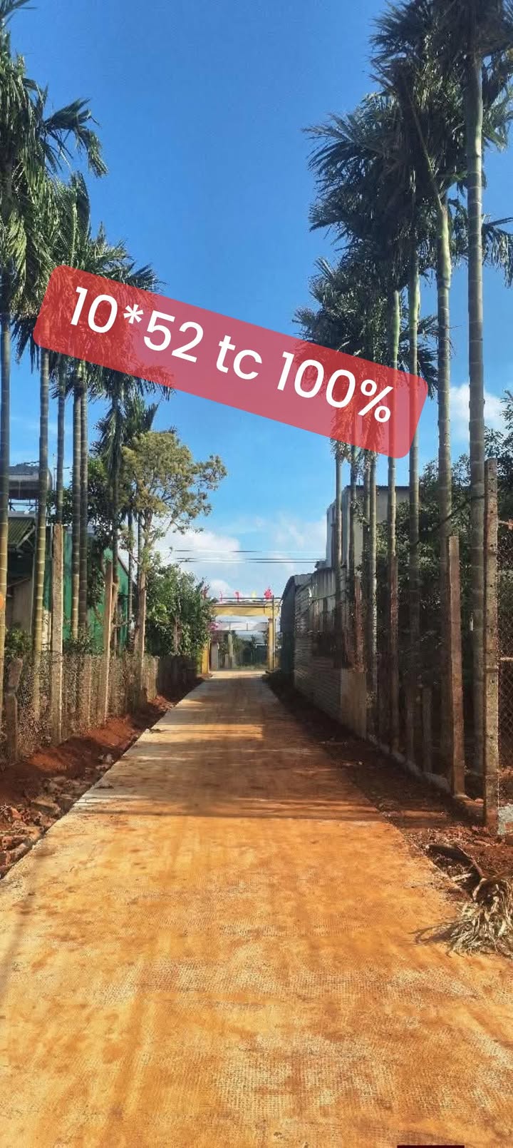 Đất nền Xuân Mỹ, Krông Năng 520m² - Sổ đỏ chính chủ, giá tốt!