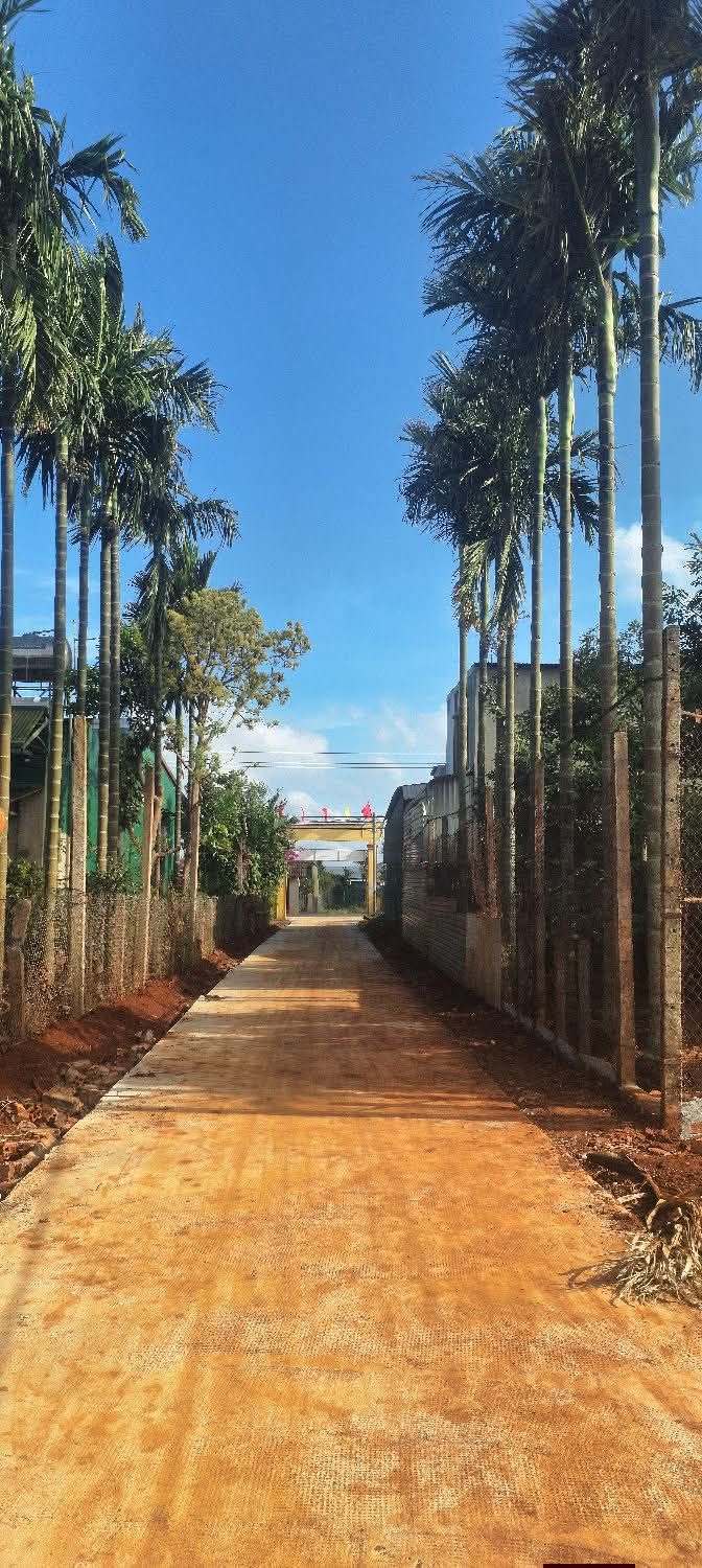 Đất Nền 520m² Krông Năng - Sổ Đỏ Full Thổ Cư, Giá Đầu Tư