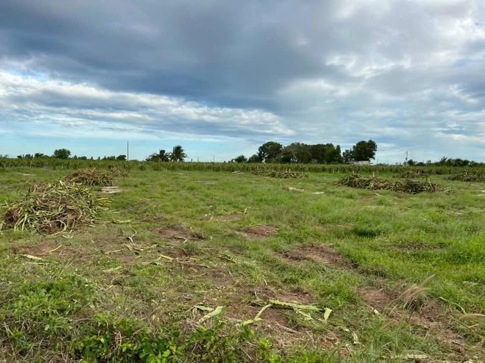 Đất nền Hàm Liêm, Bình Thuận 1350m² giá 390 triệu - Sổ đỏ chính chủ