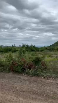 Đất nền Ninh Thân Ninh Hòa 12.000m² - Tiềm năng tăng giá vượt trội!