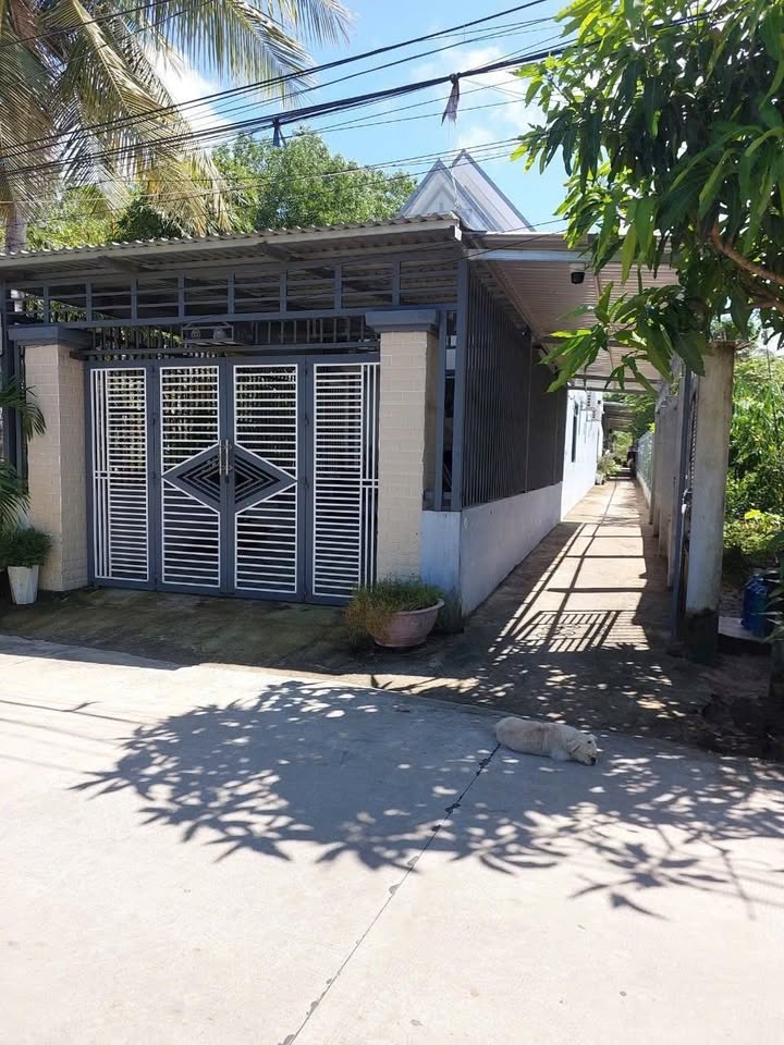 Đất Vàng Gành Dầu 800m² - Sát Chợ, Gần Biển, Có Sẵn Nhà & Trọ