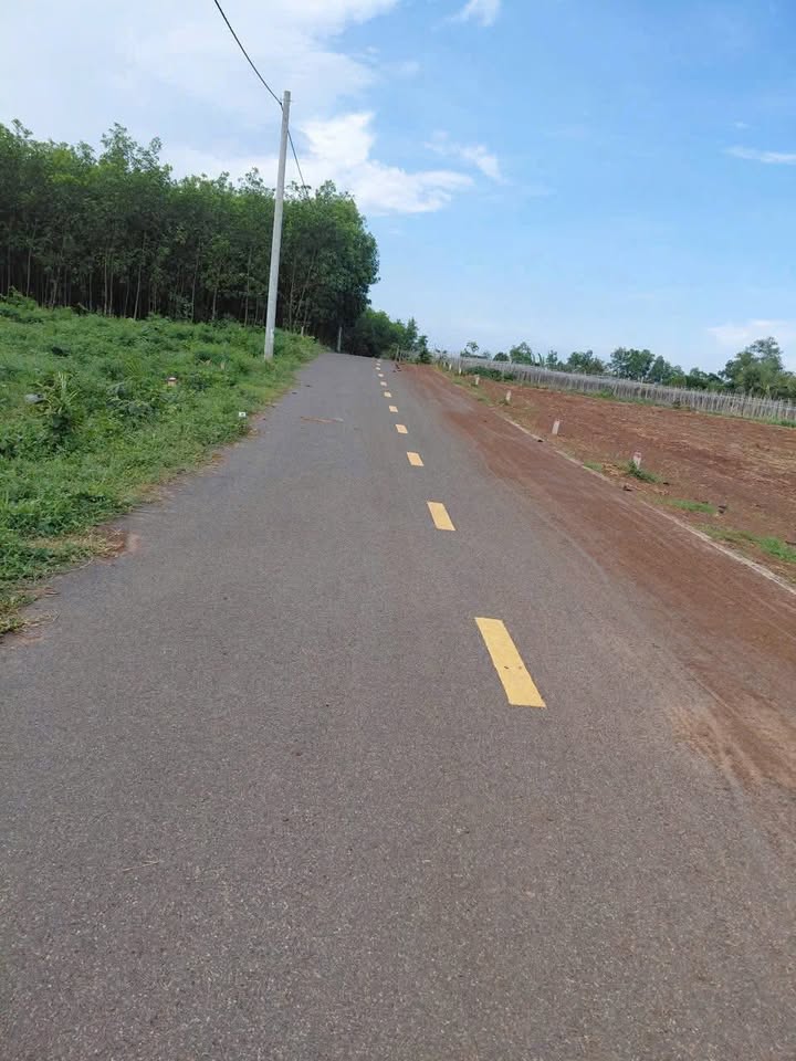 Đất nền Xã Đất Đỏ 979m² giá 2 tỷ - Đường to ô tô, pháp lý rõ ràng!