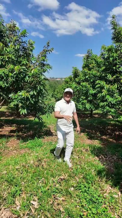 Bán vườn sầu riêng Đức Cơ 1.1ha giá 4.6 tỷ - Đầu tư sinh lời cao