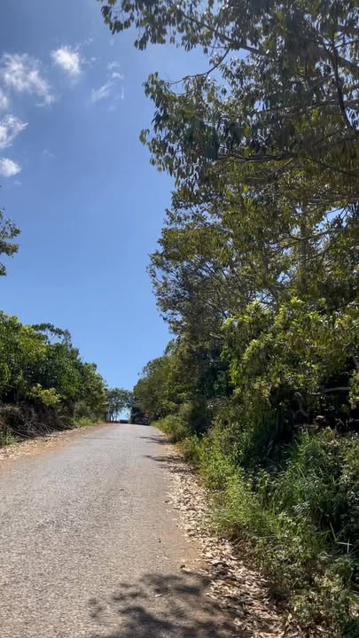 Đất vườn Tuy Đức 1440m² giá 1.8 tỷ - Sổ đỏ chính chủ