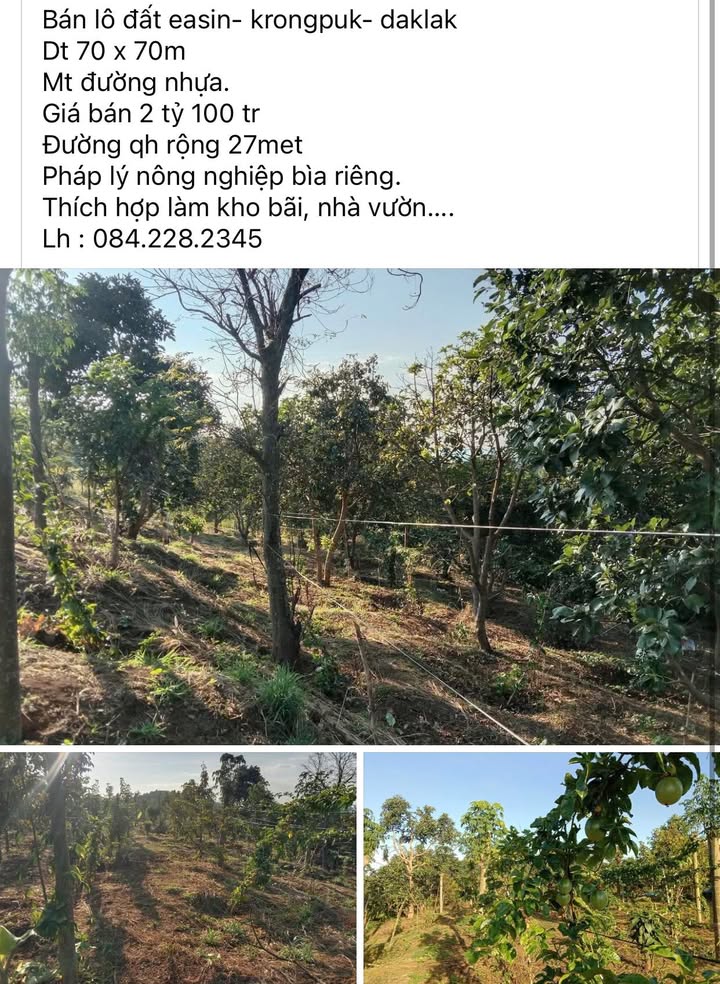 Đất vườn Ea Sin Krông Búk 4900m² giá 2.1 tỷ - Sổ đỏ chính chủ