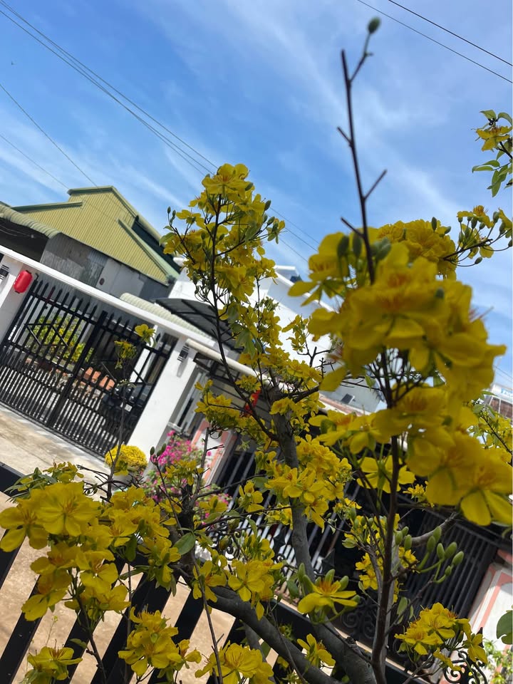 Bán đất Nhơn Hòa Chơn Thành 1080m² 1.5 tỷ - Sổ đỏ chính chủ