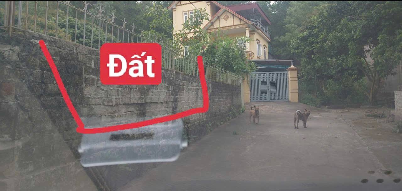 Đất nền Uông Bí, Quảng Ninh 428m² chỉ 2.1 tỷ - Đường ô tô, tiềm năng tăng giá!