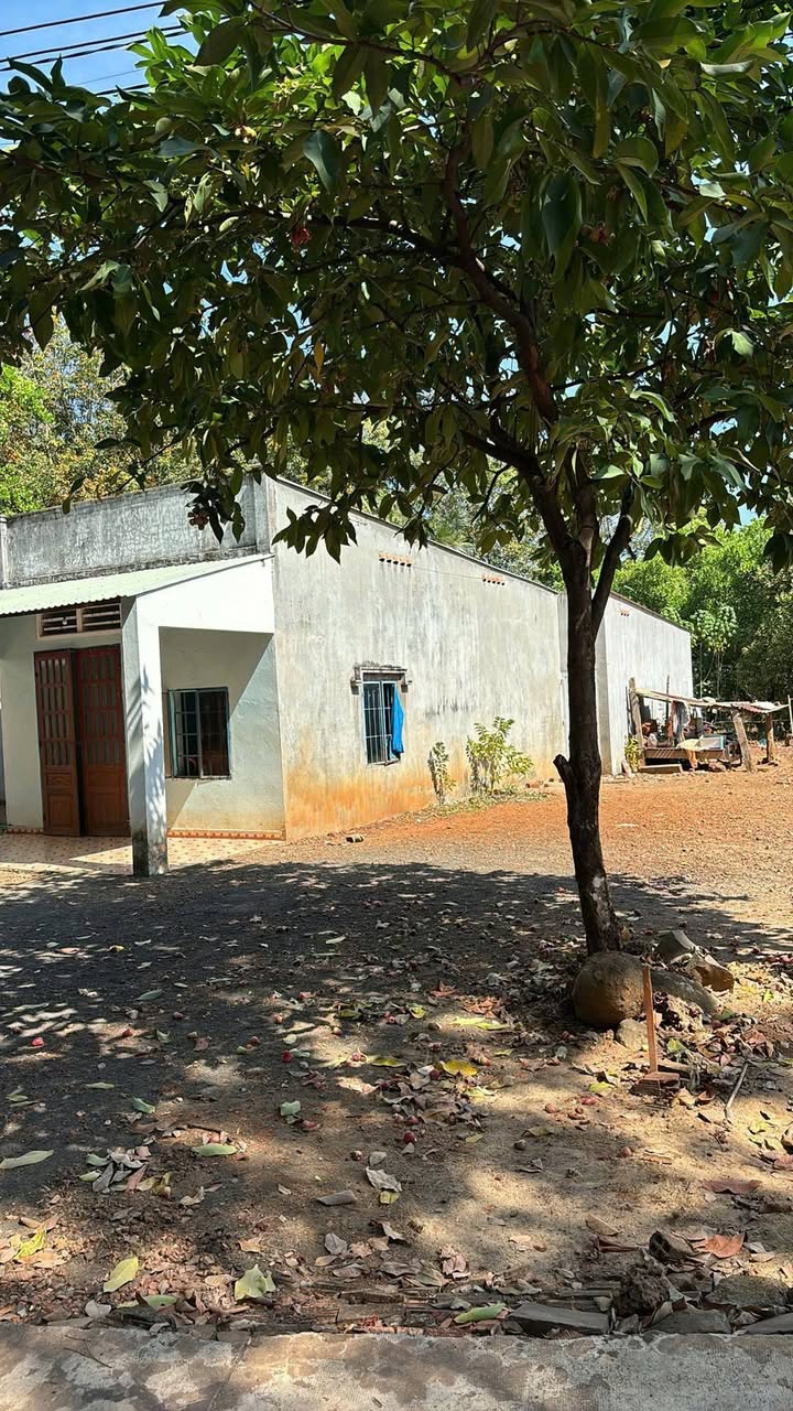 Đất nền Đồng Phú 180m² giá 360 triệu - Sổ đỏ chính chủ!