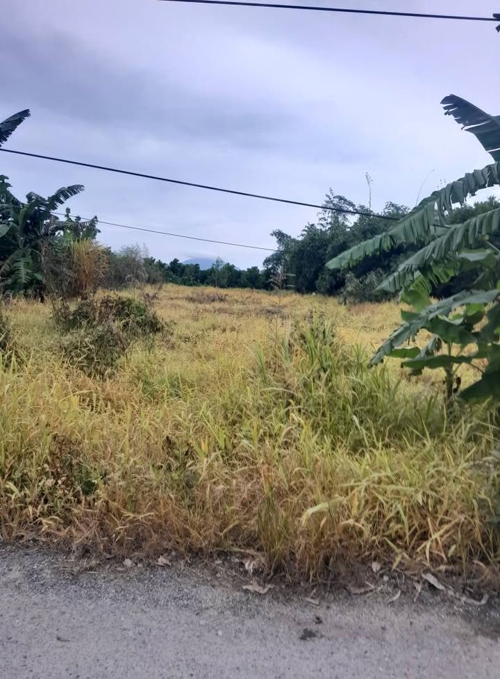 Bán Gấp 35.000m² Đất Lúa Kèm Nền Nhà Xã An Bình, Thoại Sơn, An Giang - Sổ Đỏ