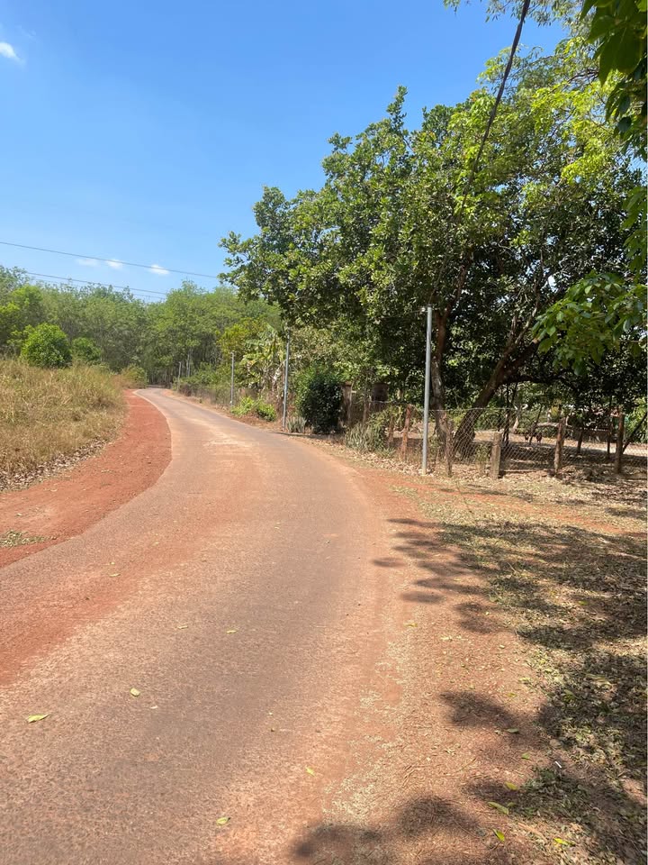 Đất Nền 130m² Gần KCN Nam Đồng Phú - Cơ Hội Đầu Tư Vàng