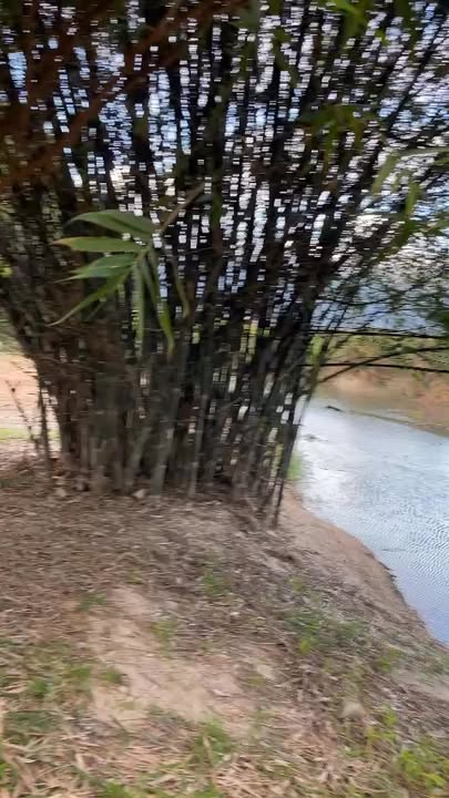 Đất vườn Vạn Ninh 4400m² view sông - Nghỉ dưỡng lý tưởng!