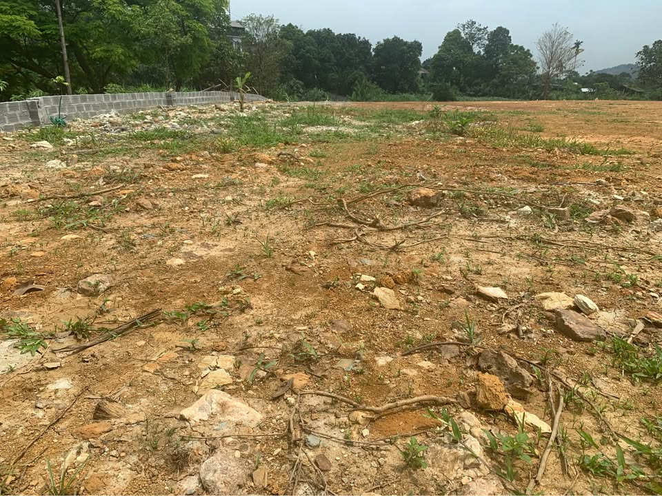 Lô đất Thôn Dy, Ba Vì 1000m² - Tiềm năng tăng giá vượt trội!