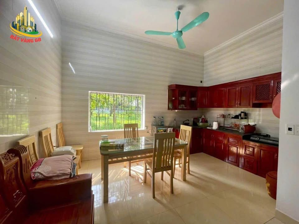 Nhà Mặt Tiền Cát Linh Ninh Bình 100m² - Kinh Doanh Đắc Địa, Sẵn Sàng Về Ở!