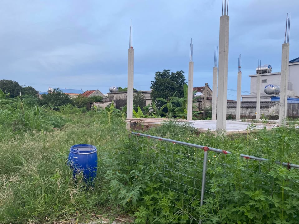 Bán đất Nam Hồng, Nam Trực 123m² - Sổ đỏ chính chủ, gần chợ