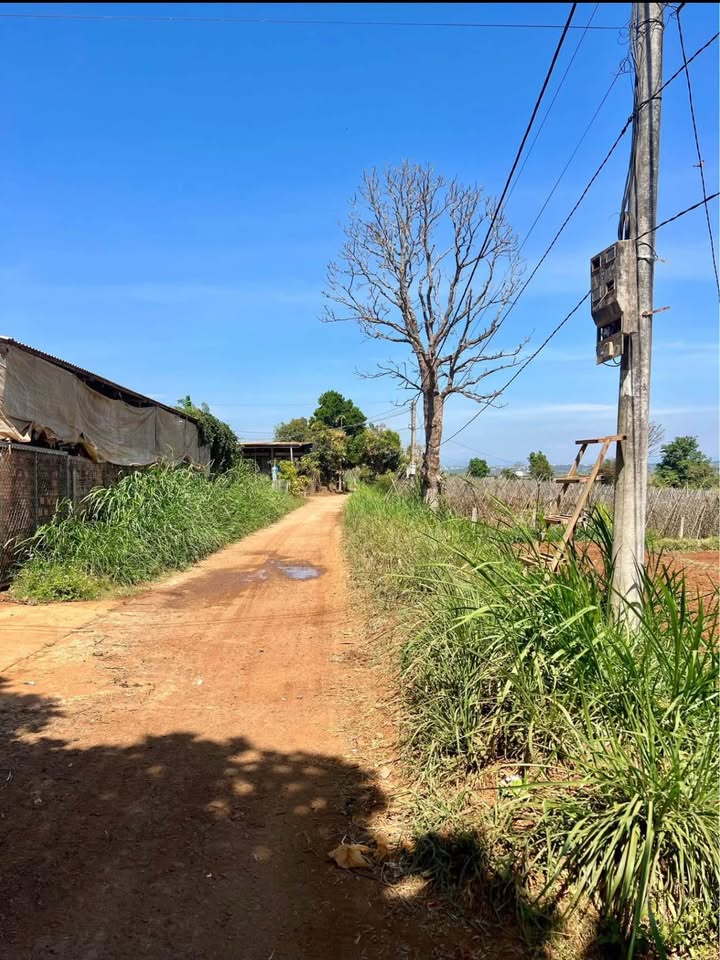 Đất nền An Phú Pleiku 2192m² - Tiềm năng tăng giá vượt trội!