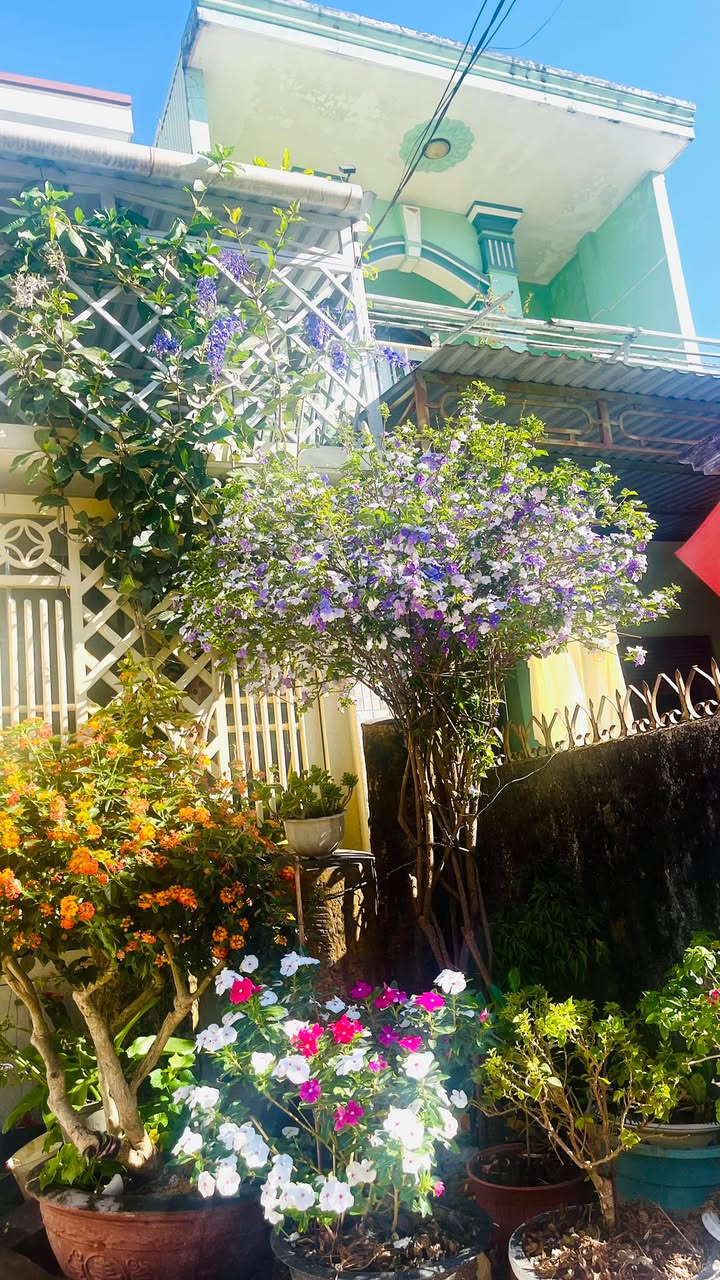 Bán Đất Hẻm Biệt Thự Trắng Pleiku 130m² Giá Tốt