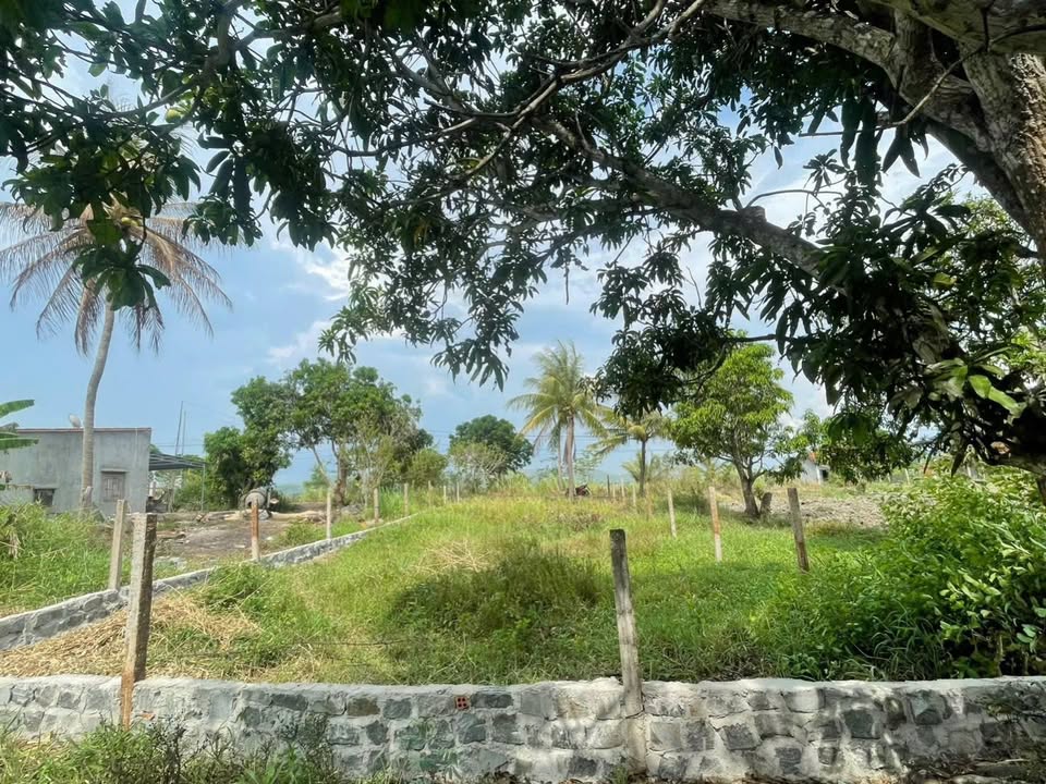 Đất Nền Phú Yên 250m² Sổ Hồng Riêng - Giá Tốt Nhất Khu Vực