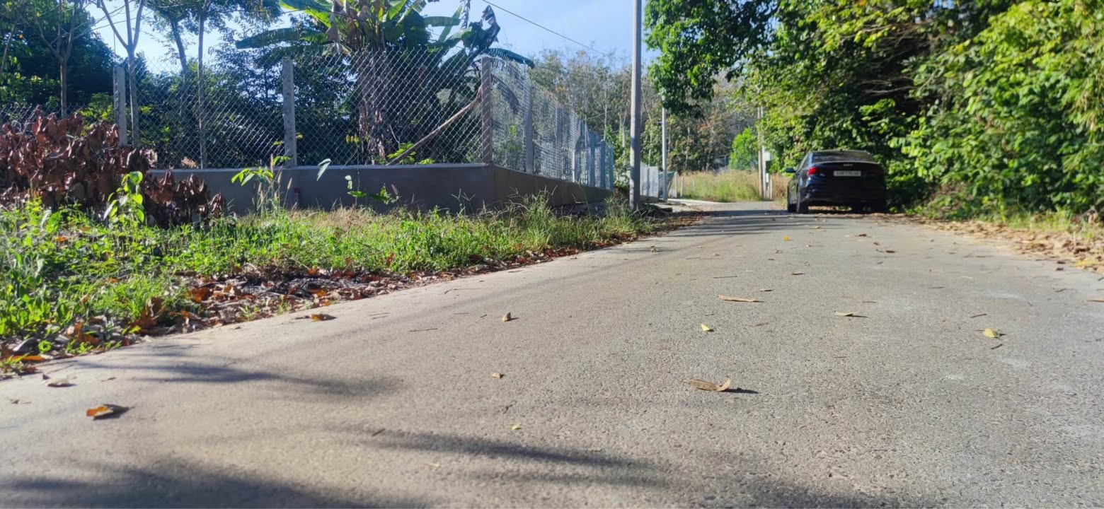 Đất nền Minh Thạnh Dầu Tiếng 260m² - Tiềm năng tăng giá vượt trội!