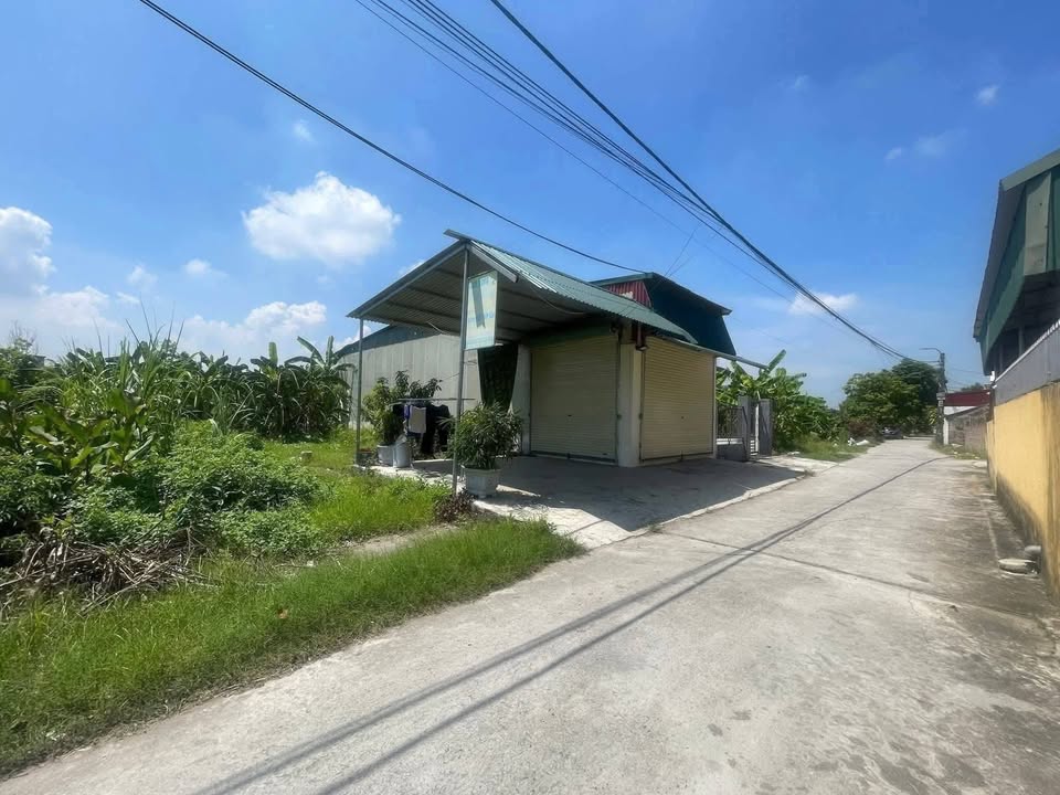 Đất nền Gia Lộc Hải Dương 97m² giá 1.9 tỷ - Sổ đỏ chính chủ