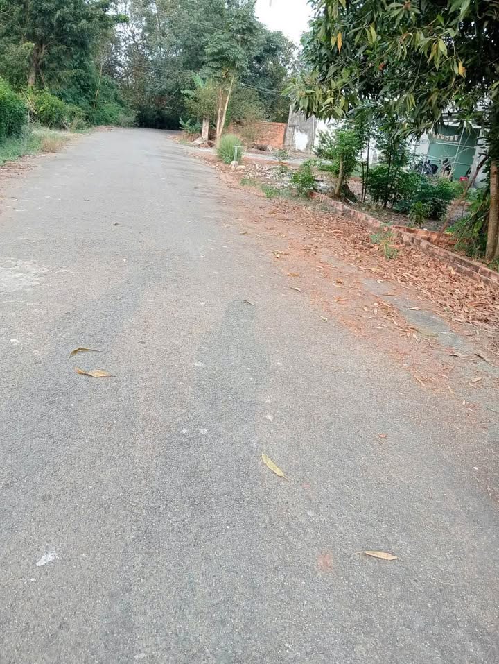 Đất nền Khu phố 2 Hắc Dịch 150m² chỉ 1.38 tỷ - Tiềm năng tăng giá vượt trội!