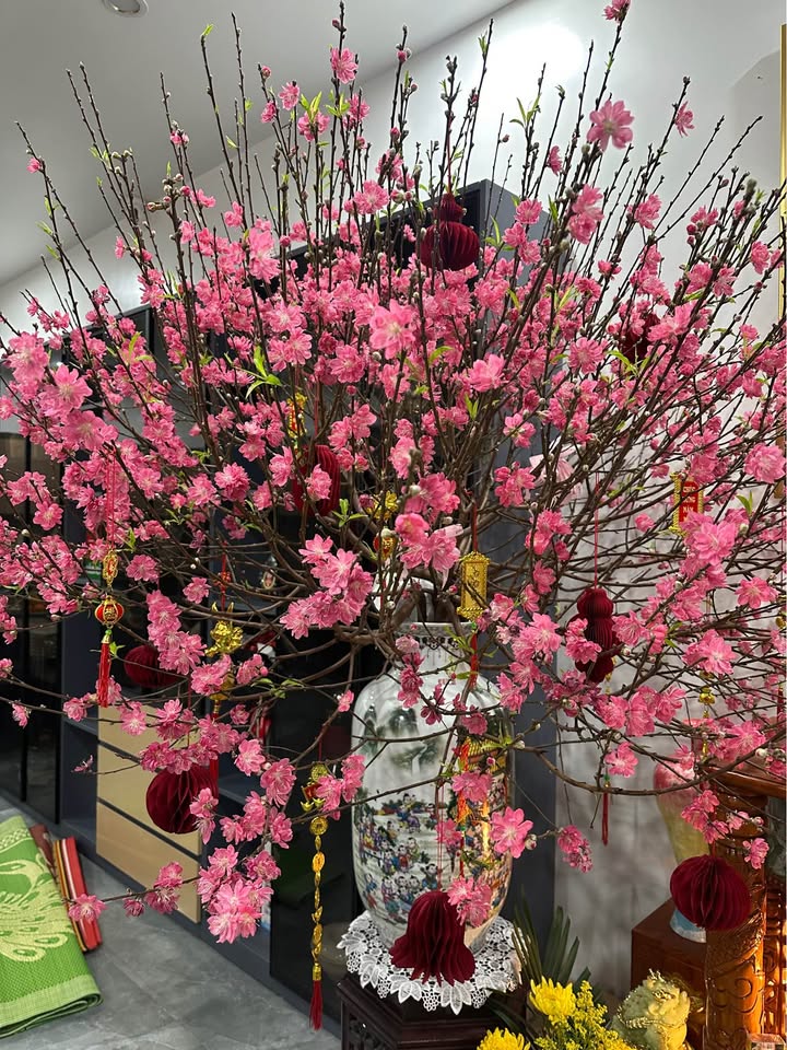 Nhà Góc 2 Mặt Thoáng Kinh Doanh Đường Nhựa Đồng Hoà Kiến An - 59m²