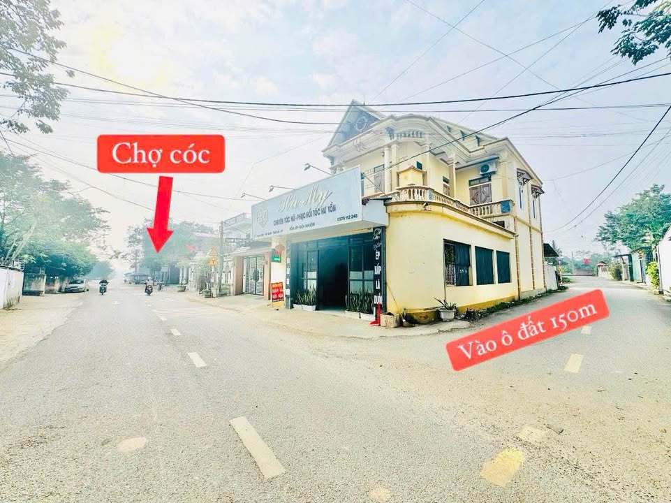 Đất nền Tam Đảo 102m² - Trục chính kinh doanh, Sổ đỏ trao tay!