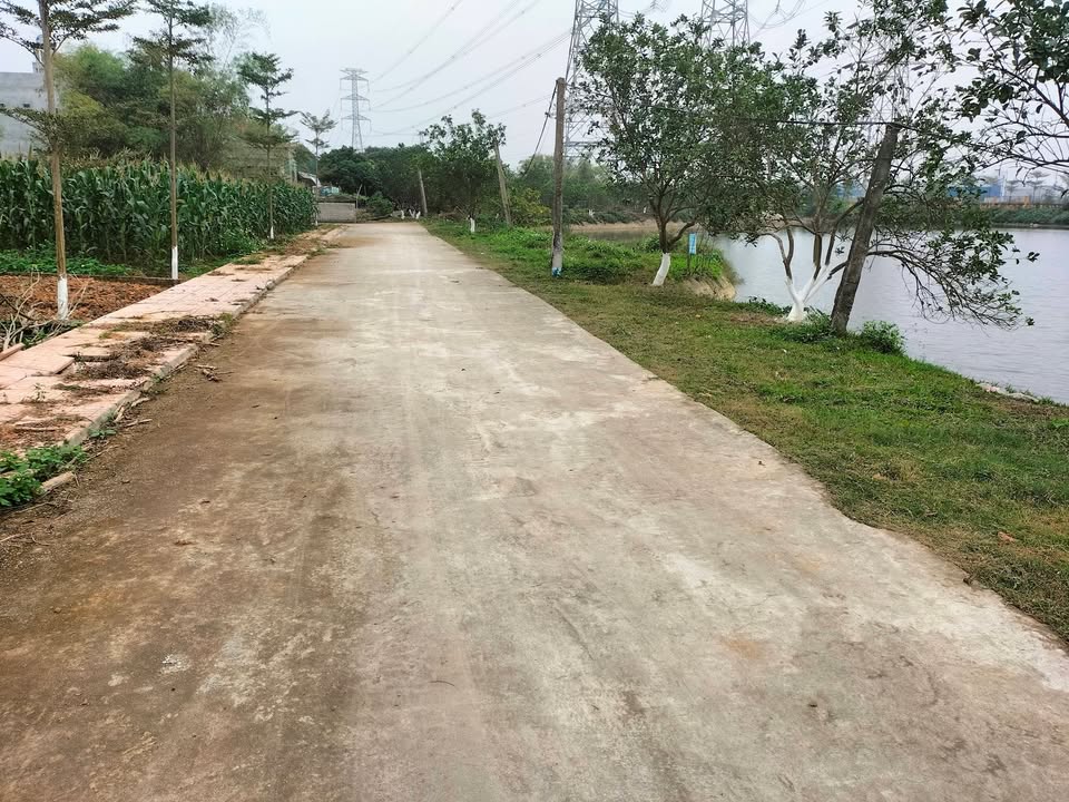 Đất nền Thị trấn Lim, Tiên Du 300m² - Giá tốt, Đầu tư sinh lời!