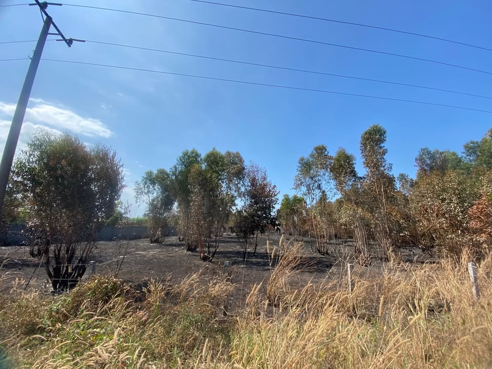 Cho thuê đất 5400m² mặt tiền Nguyễn Tri Phương, La Gi - Sẵn sàng làm xưởng, kho bãi