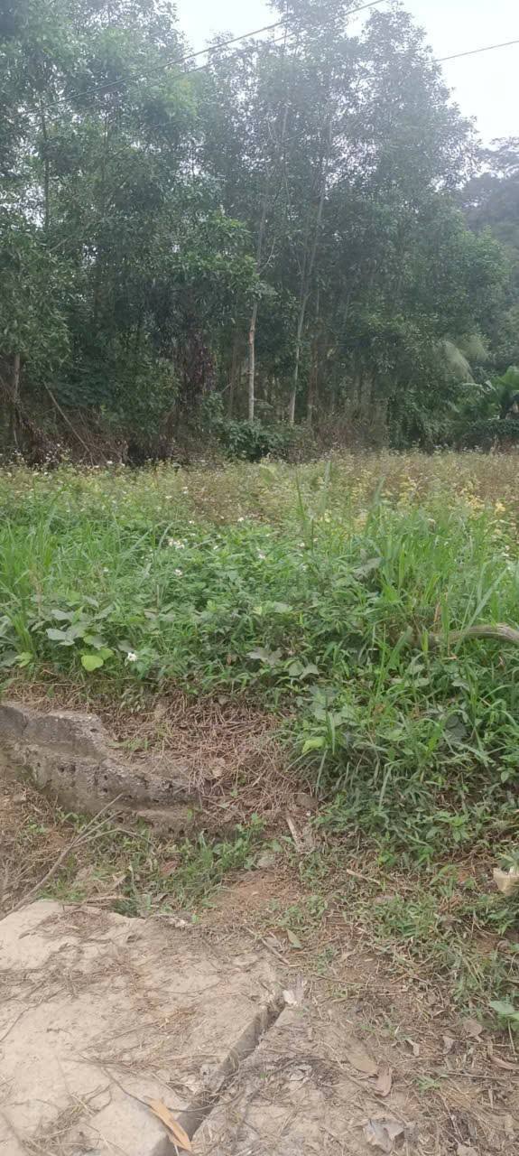 Bán đất Khối 1 TT Tân Kỳ 178m² giá 1.6 tỷ - Sổ đỏ chính chủ!