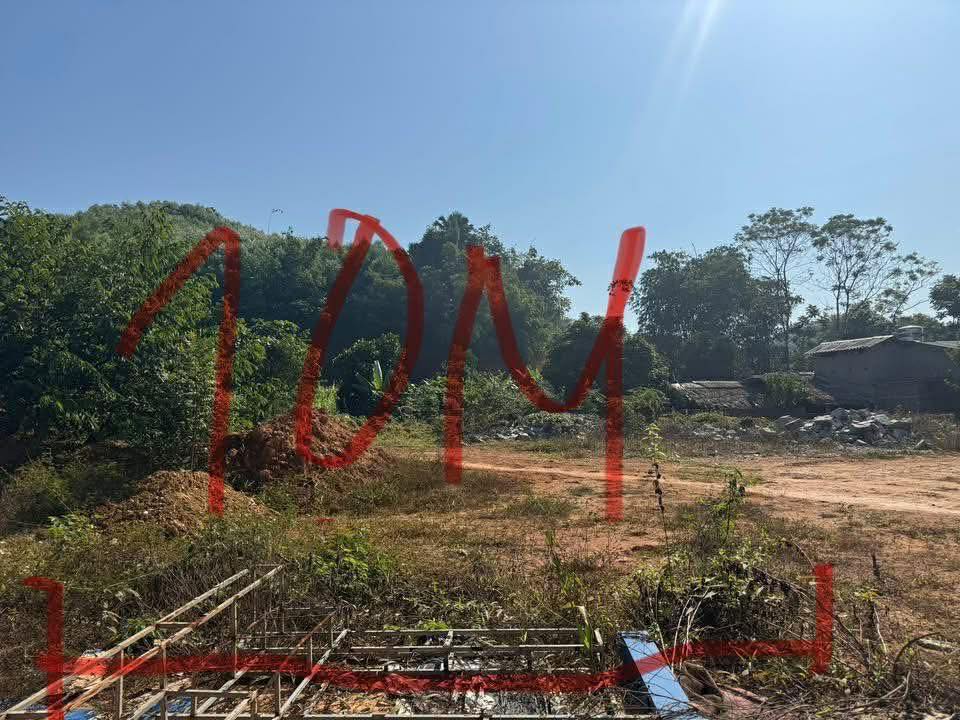 Đất nền An Tường, Tuyên Quang 160m² - Đất thổ cư 100% sổ đỏ sẵn sàng!