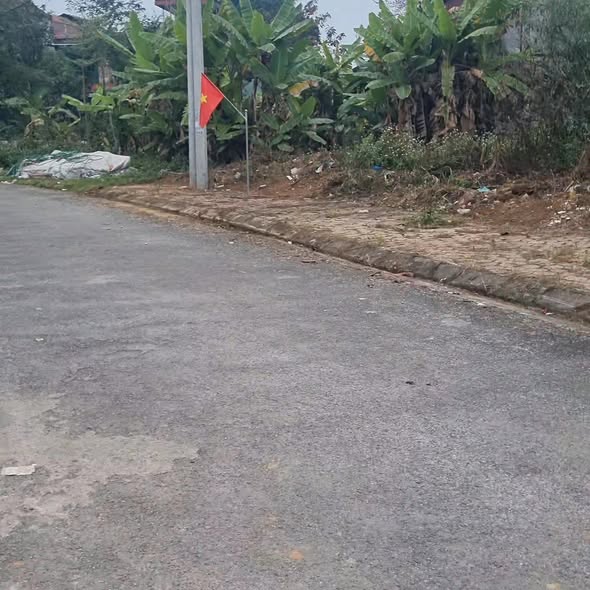 Đất nền Phố Lu Bảo Thắng 100m² hơn 800 triệu - Sổ đỏ chính chủ