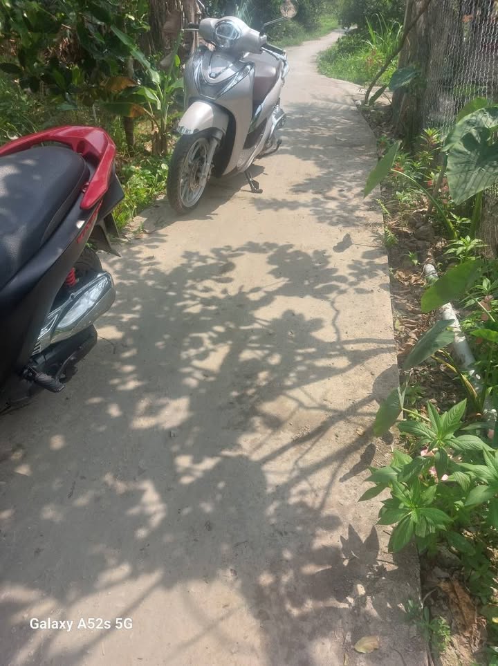 Bán Đất Vườn 1039m² Mặt Tiền Dal & Đá, Xã Mỹ Phước, Mang Thít, Vĩnh Long - Giá 900 Triệu