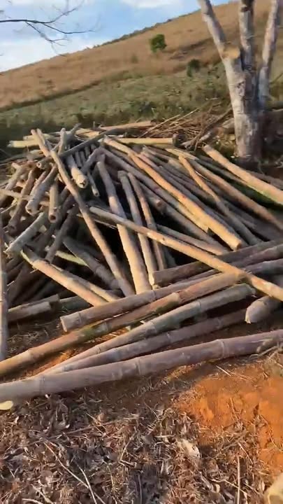 Đất vườn 1.2ha Tùy Đức, Đắk Nông - Hoạt động ngay, giá tốt!