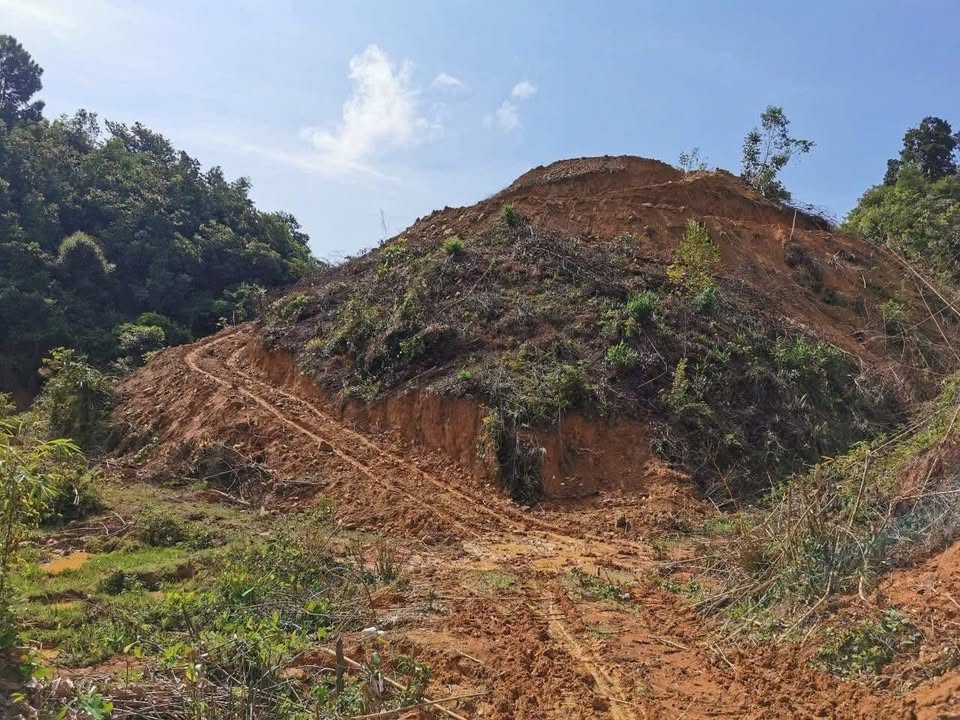 Đất vườn 4.5ha Lâm Hà, Lâm Đồng - Sinh thái xanh, đầu tư dài hạn!