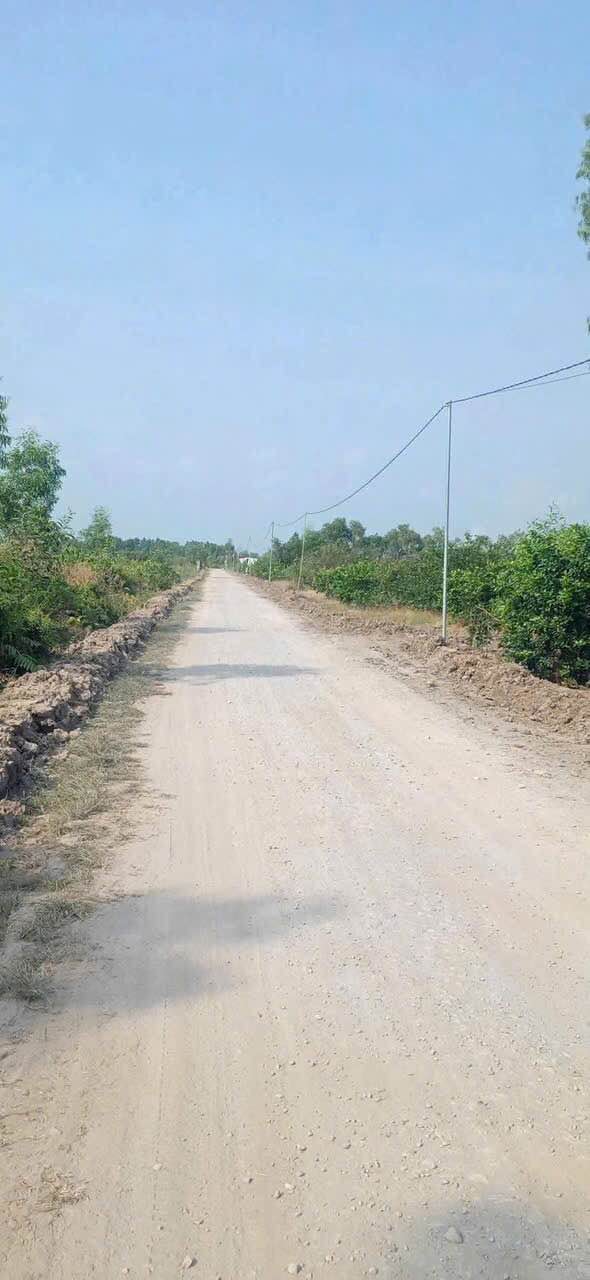 Đất vườn Bến Lức Long An 730m² giá 860 triệu - Nghỉ dưỡng lý tưởng!