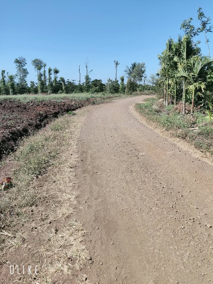 Đất Nền Quảng Hiệp, Đắk Lắk - 1800m² Giá Tốt, Sẵn Sàng Đầu Tư