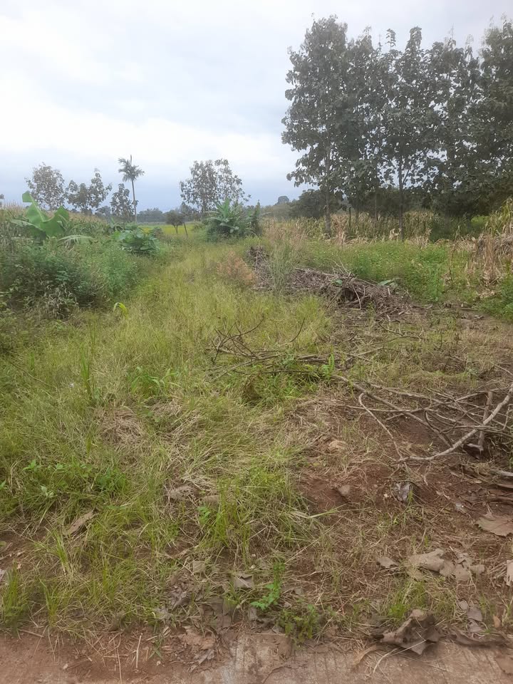 Đất nền Quảng Hiệp Cư M'gar 500m² giá 420 triệu - Sổ đỏ chính chủ!