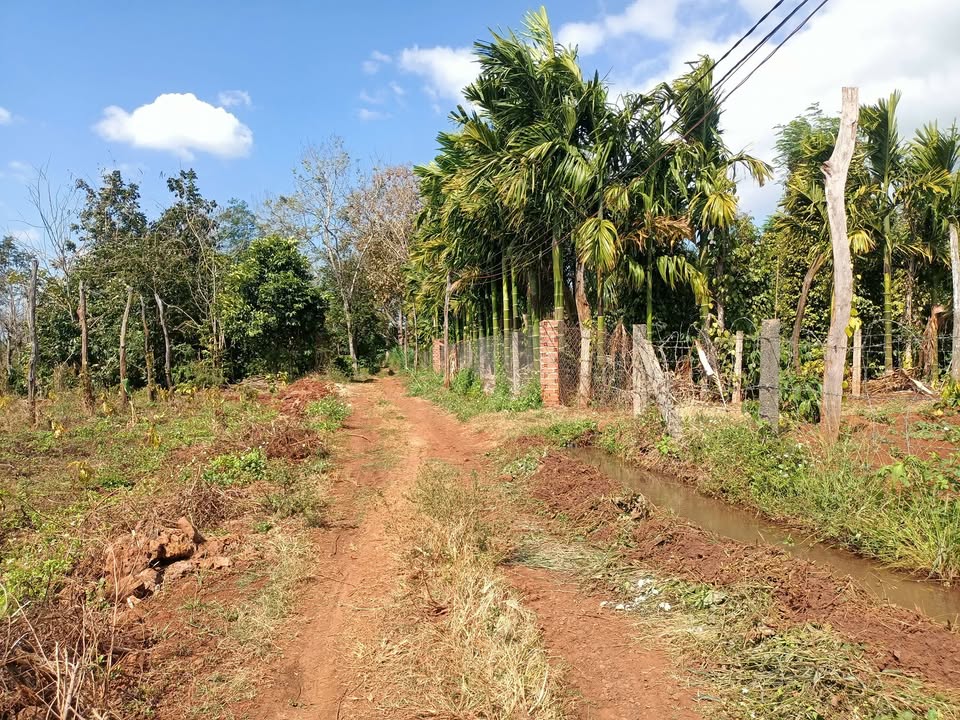 Bán Đất Đắk Lắk 3400m² Giá Chỉ 600 Triệu - Cư M'gar