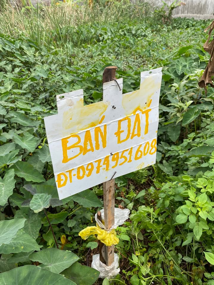 Đất đấu giá Phường Hoa Lư 160m² - Sổ đỏ chính chủ, vị trí vàng!