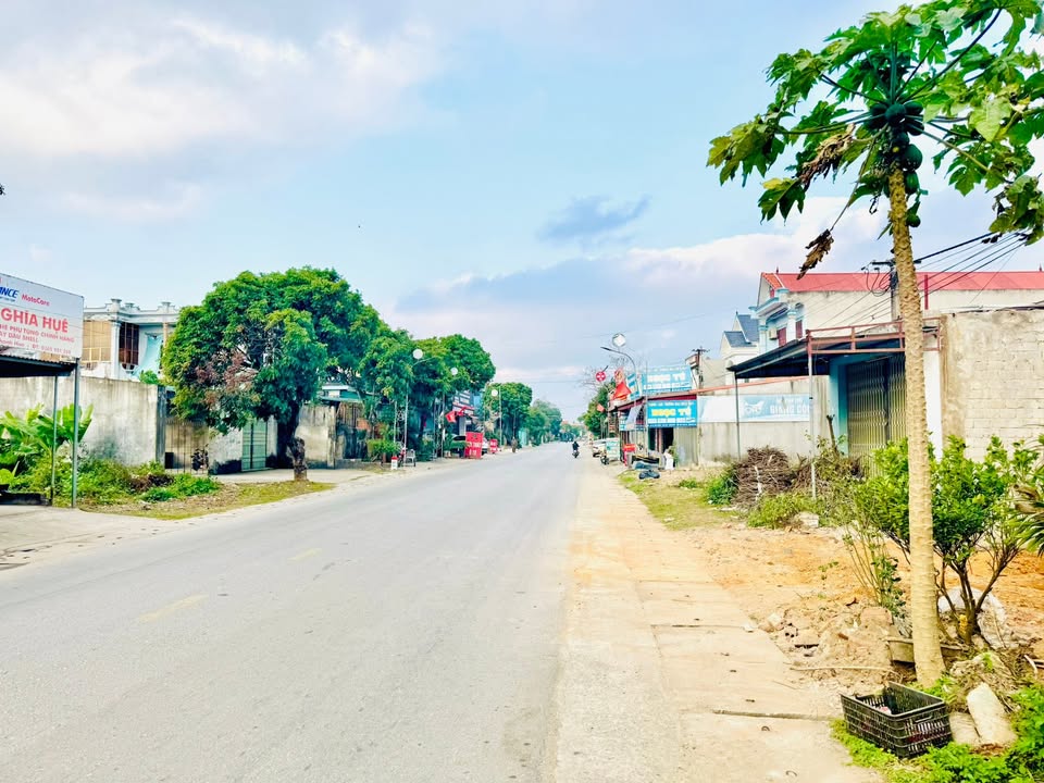 Đất nền QL10 Nga Sơn 110m² từ 1 tỷ - Vị trí kinh doanh đắc địa