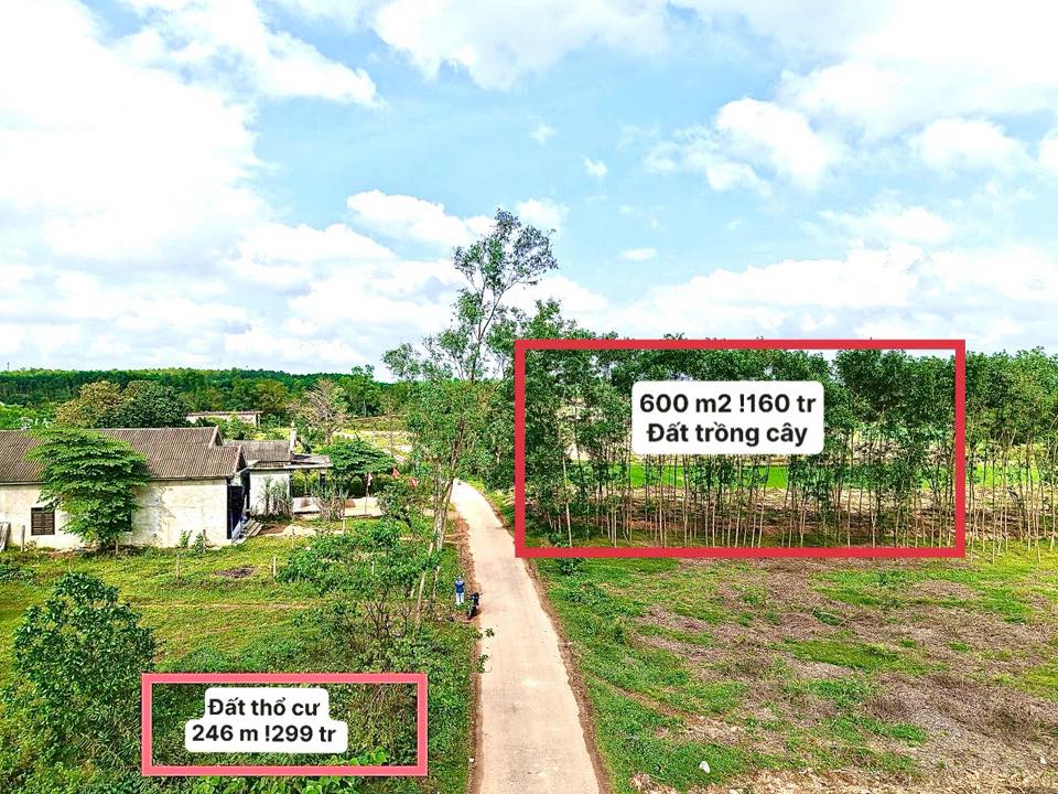 Bán đất Hương Trà 246m² chỉ 299 triệu - Pháp lý rõ ràng!