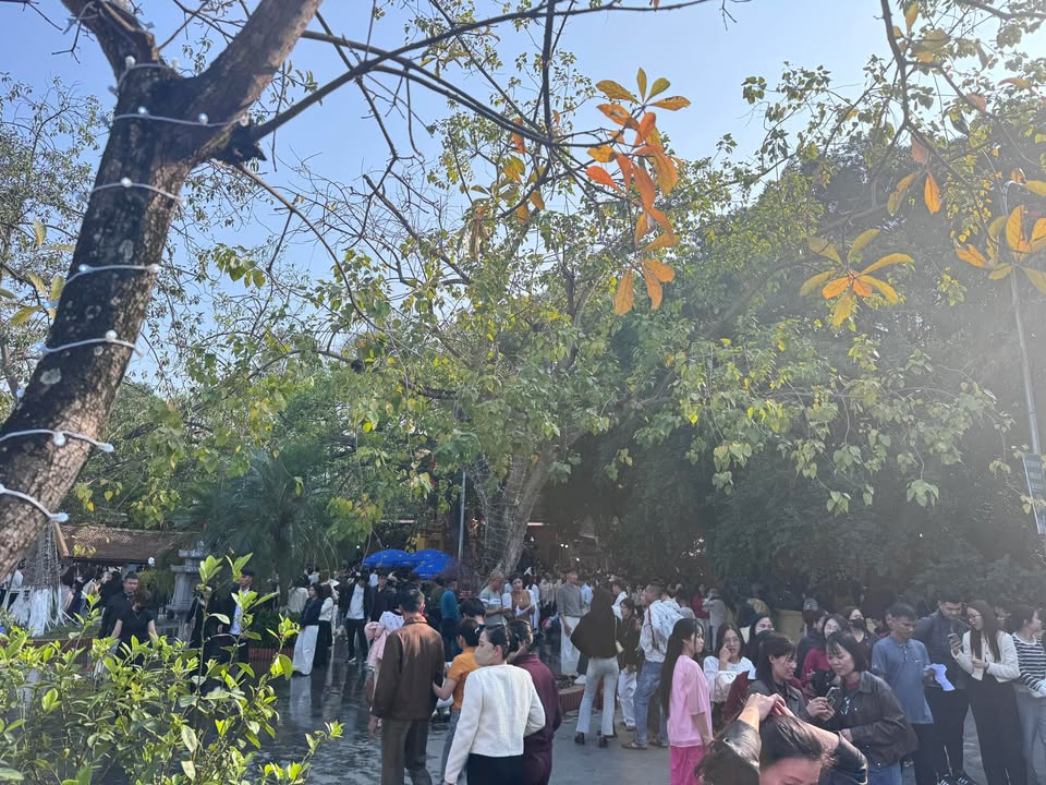 Đất nền mặt đường H100 Yên Mẫn 142m² - Sổ đỏ chính chủ đón đầu quy hoạch