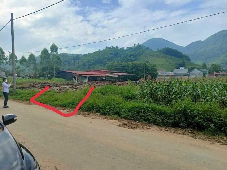 Đất nền KDC Tân Sơn, Thị xã Phú Thọ 119m² - Tiềm năng tăng giá vượt trội!