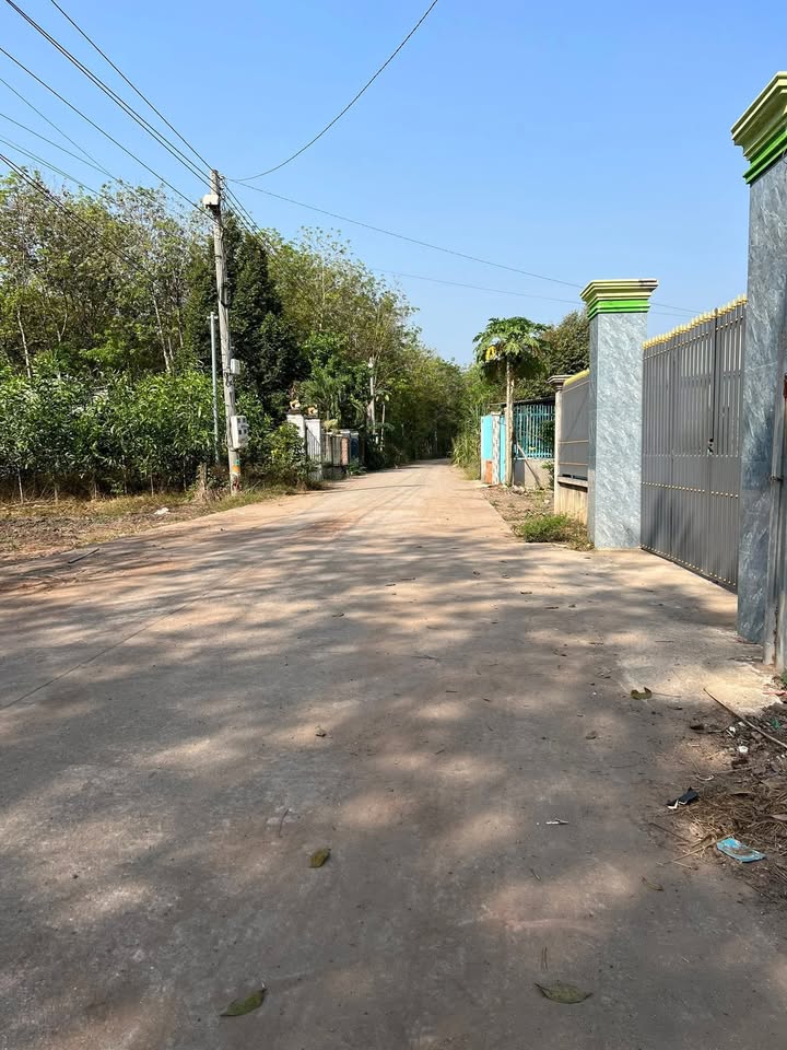 Đất nền An Linh, Phú Giáo 175m² - Sổ đỏ chính chủ, giá tốt đầu tư!